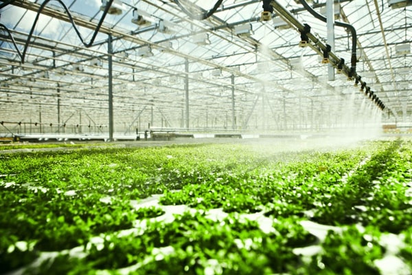 1629081185412545.jpg 7-min.jpg